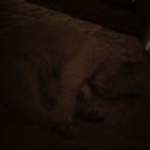 Meet your Posher, Marco